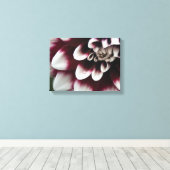 Red en White Dahlia Flower Canvas Afdruk (Insitu (Houten vloer))