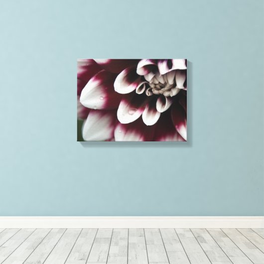 Red en White Dahlia Flower Canvas Afdruk (Insitu (Houten vloer))