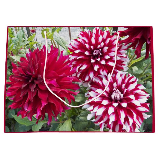 Red en White Dahlias Floral Groot Cadeauzakje (Voorkant)