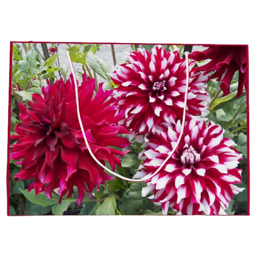 Red en White Dahlias Floral Groot Cadeauzakje (Achterkant)