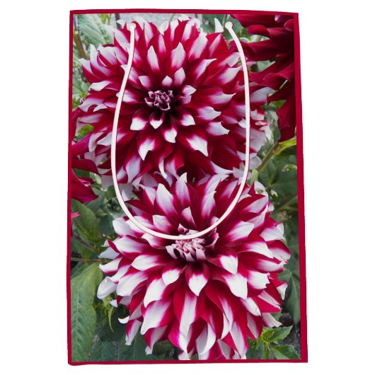 Red en White Dahlias Floral Medium Cadeauzakje (Voorkant)