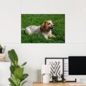 Red English Cocker Spaniel Poster (Thuiskantoor)