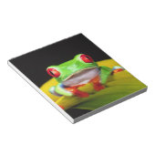 Red Eye Treefrog, Agalychinis callidryas, Native Notitieblok (Schuin)