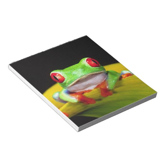 Red Eye Treefrog, Agalychinis callidryas, Native Notitieblok (Schuin)