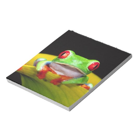 Red Eye Treefrog, Agalychinis callidryas, Native Notitieblok (Linkerzijde)