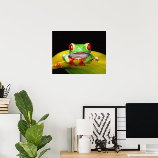 Red Eye Treefrog, Agalychinis callidryas, Native Poster (Thuiskantoor)