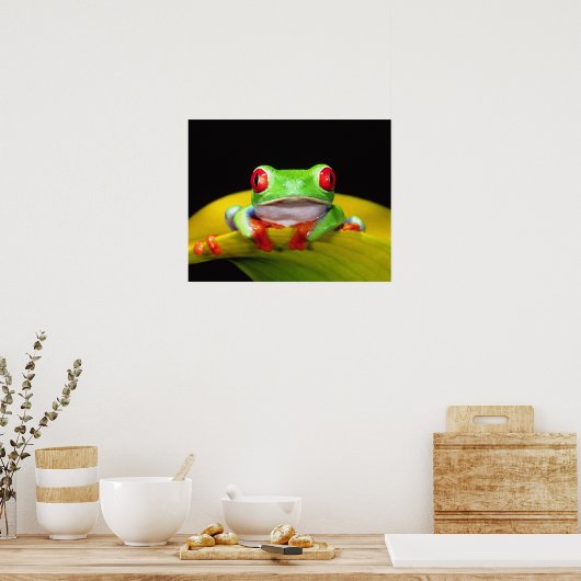 Red Eye Treefrog, Agalychinis callidryas, Native Poster (Keuken)