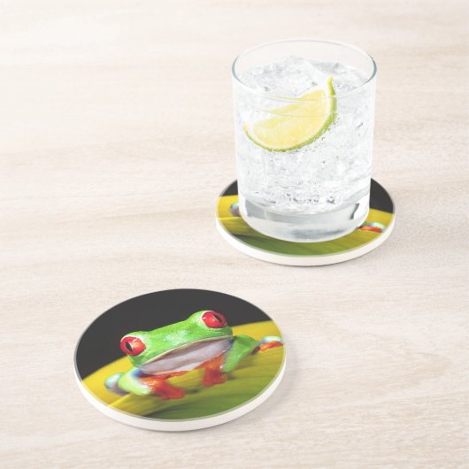 Red Eye Treefrog, Agalychinis callidryas, Native Zandsteen Onderzetter (Zijkant)