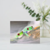 Red Eye Treefrog in de mist, Agalychinis 2 Briefkaart (Staand voorkant)