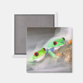 Red Eye Treefrog in de mist, Agalychinis 2 Magneet (Voorkant / Achterkant)