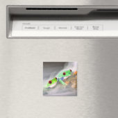 Red Eye Treefrog in de mist, Agalychinis 2 Magneet (Insitu (Vaatwasser))