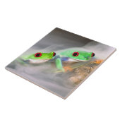 Red Eye Treefrog in de mist, Agalychinis 2 Tegeltje (Zijkant)