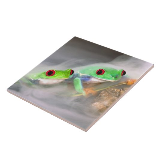 Red Eye Treefrog in de mist, Agalychinis 2 Tegeltje (Zijkant)