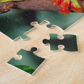 Red Eye Treefrog Pair, Agalychinis callidryas Legpuzzel (Zijkant)