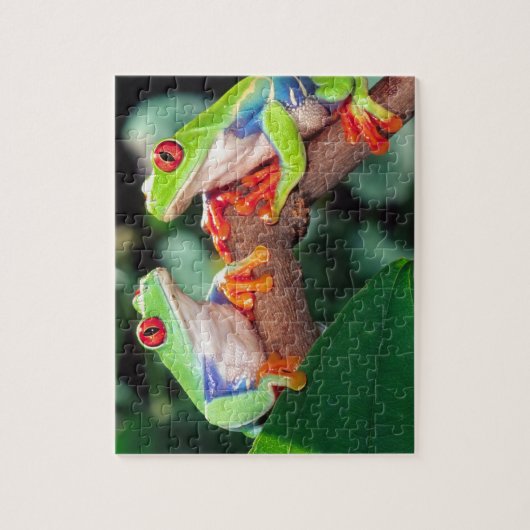 Red Eye Treefrog Pair, Agalychinis callidryas Legpuzzel (Verticaal)