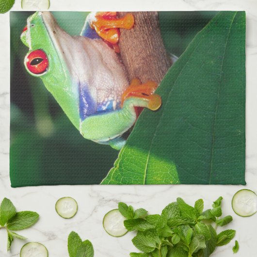 Red Eye Treefrog Pair, Agalychinis callidryas Theedoek (Gevouwen)