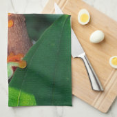 Red Eye Treefrog Pair, Agalychinis callidryas Theedoek (Quarter Fold)