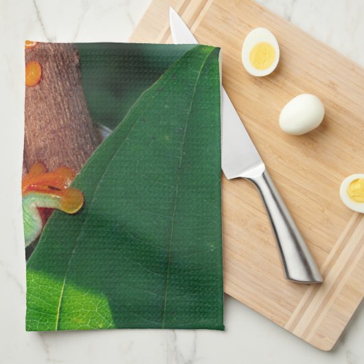 Red Eye Treefrog Pair, Agalychinis callidryas Theedoek (Quarter Fold)