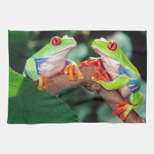 Red Eye Treefrog Pair, Agalychinis callidryas Theedoek (Horizontaal)