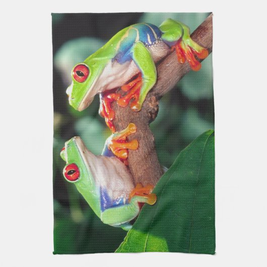 Red Eye Treefrog Pair, Agalychinis callidryas Theedoek (Verticaal)