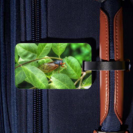 Red Eyed Cicada Bagagelabel (Achterkant Insitu 2)