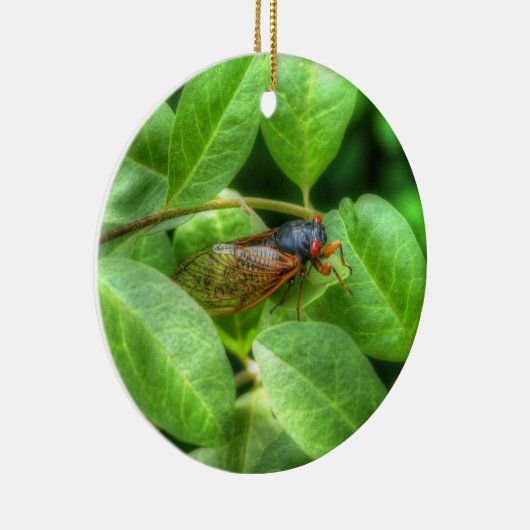 Red Eyed Cicada Keramisch Ornament (Rechts)