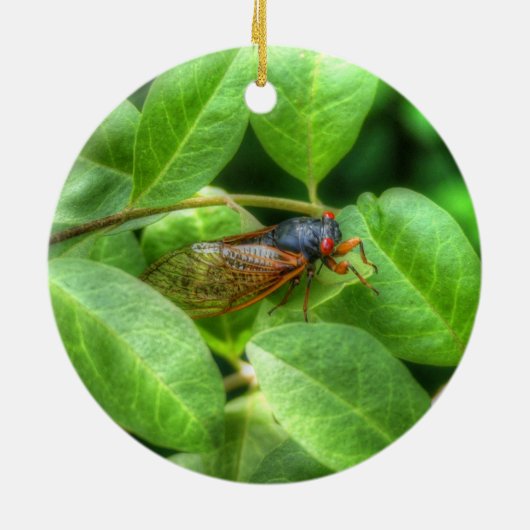 Red Eyed Cicada Keramisch Ornament (Achterkant)
