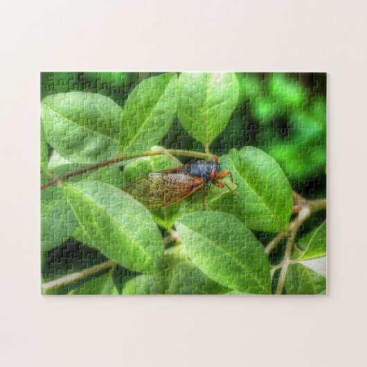 Red Eyed Cicada Legpuzzel (Horizontaal)