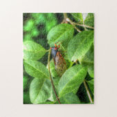 Red Eyed Cicada Legpuzzel (Verticaal)