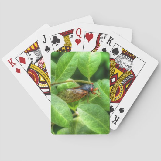 Red Eyed Cicada Pokerkaarten (Achterkant)