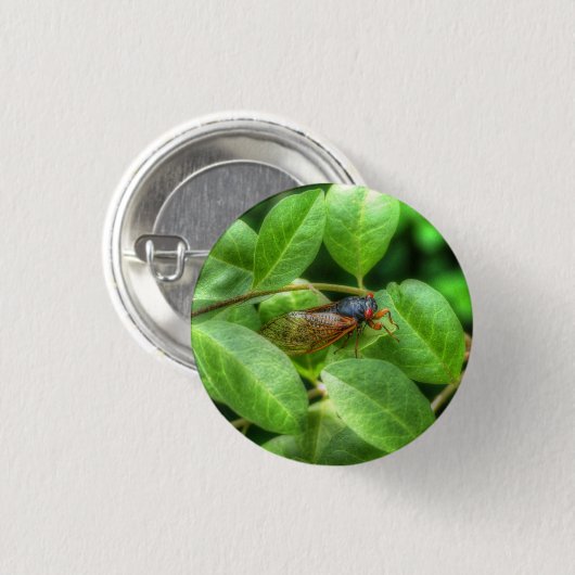 Red Eyed Cicada Ronde Button 3,2 Cm (Voorkant /achterkant)