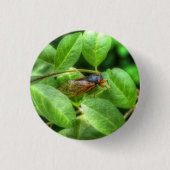 Red Eyed Cicada Ronde Button 3,2 Cm (Voorkant)