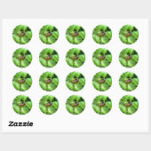 Red Eyed Cicada Ronde Sticker (Vel)