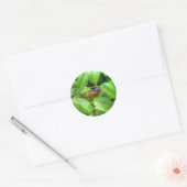 Red Eyed Cicada Ronde Sticker (Envelop)