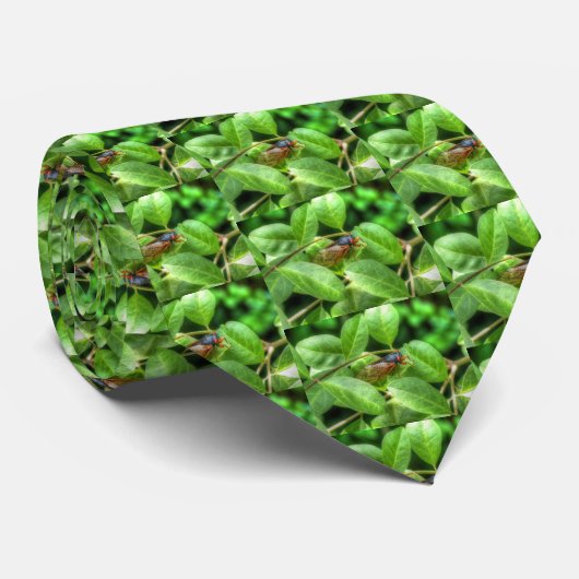 Red Eyed Cicada Stropdas (Opgerold)