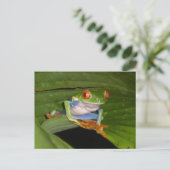 Red Eyed Gaudí Frog DIY Briefkaart (Staand voorkant)