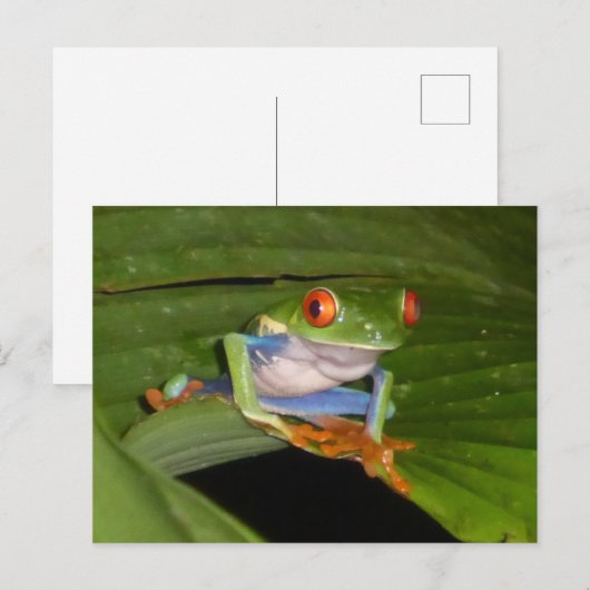 Red Eyed Gaudí Frog DIY Briefkaart (Voorkant / Achterkant)