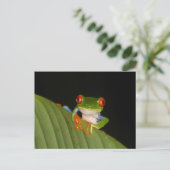 Red Eyed Gaudí Night Frog DIY Briefkaart (Staand voorkant)