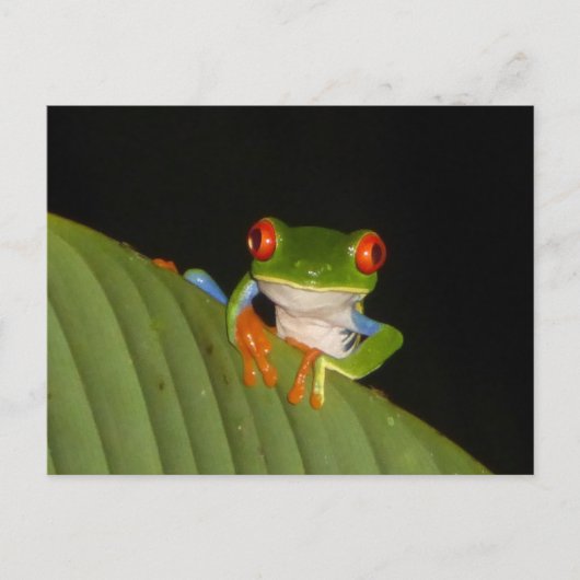 Red Eyed Gaudí Night Frog DIY Briefkaart (Voorkant)