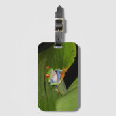 Red Eyed Gaudy Frog Bagagelabel (Voorkant (verticaal))
