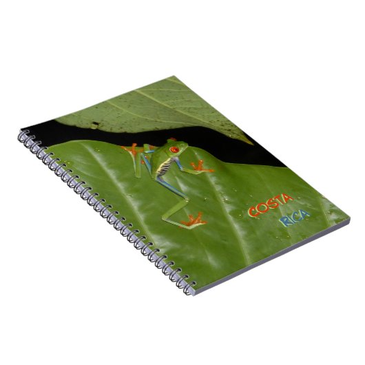 Red Eyed Gaudy Frog Cust. Tekst Notitieboek (Rechterzijde)