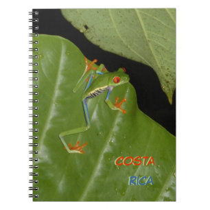 Red Eyed Gaudy Frog Cust. Tekst Notitieboek