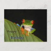 Red Eyed Gaudy Frog Happy Birthday Briefkaart (Voorkant)