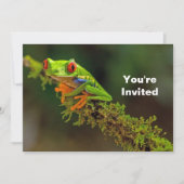 Red Eyed Tree Frog Foto Verjaardag Kaart (Voorkant)