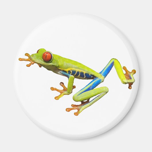 Red eyed tree frog magneet (Voorkant)