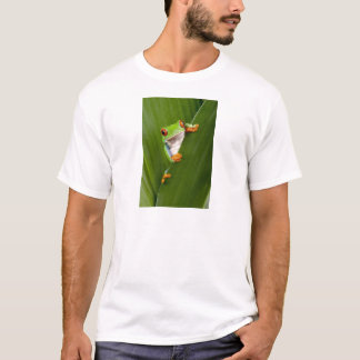 Red eyed tree frog t-shirt