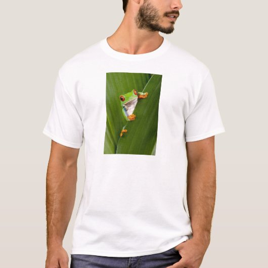 Red eyed tree frog t-shirt (Voorkant)