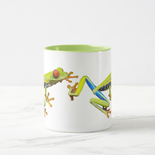 Red eyed tree frogs mok (Midden)