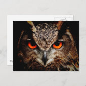 Red Eyes Eagle Owl Briefkaart (Voorkant / Achterkant)
