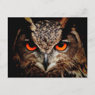 Red Eyes Eagle Owl Briefkaart